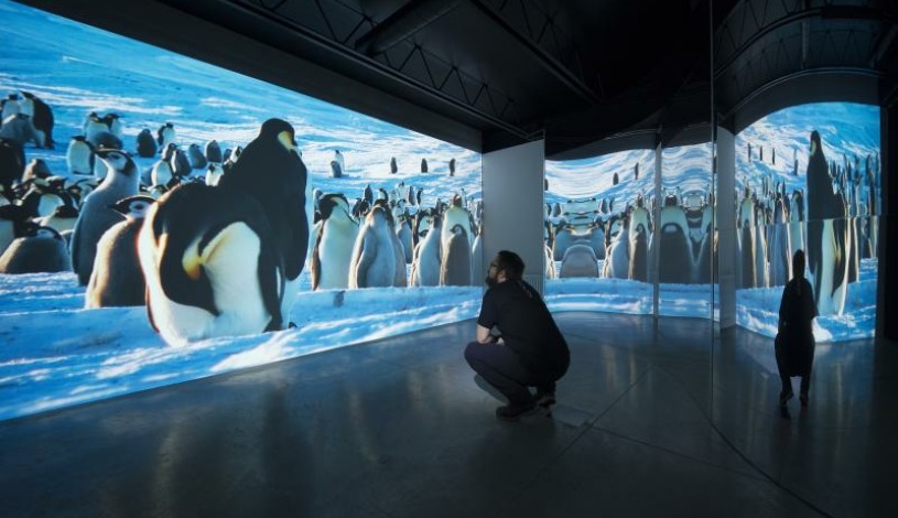 Hotel CROCUS **** Vysoké Tatry